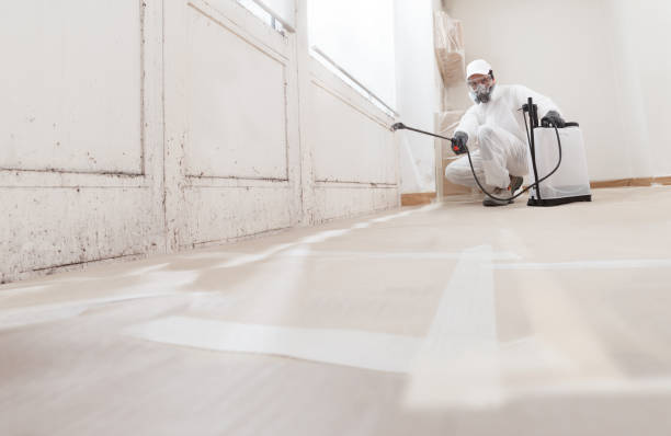24/7 Emergency Commercial Mold Remediation experts in Gettysburg, PA