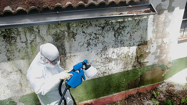 Top rated local Commercial Mold Remediation specialists in Gettysburg, PA